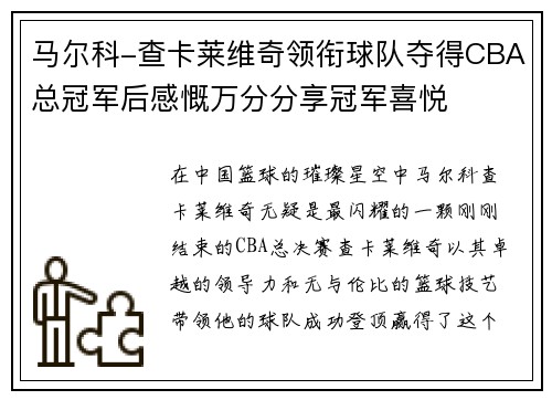 马尔科-查卡莱维奇领衔球队夺得CBA总冠军后感慨万分分享冠军喜悦